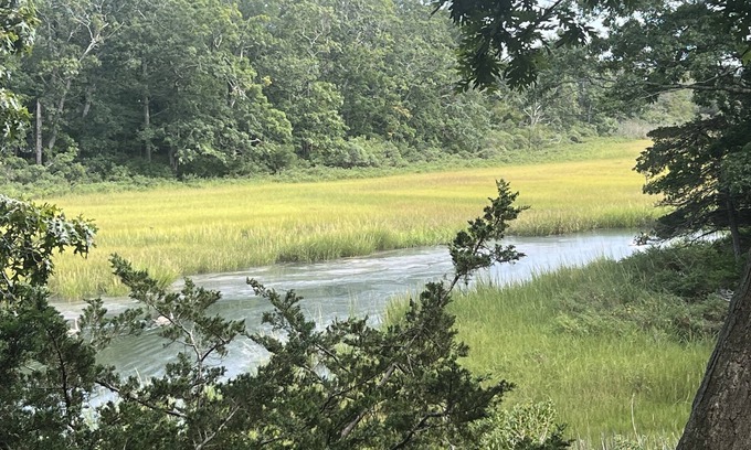 Cutchogue House | July-Oct: 3 bm charming Waterfront Artist Cottage for Rent In North Fork, NY n