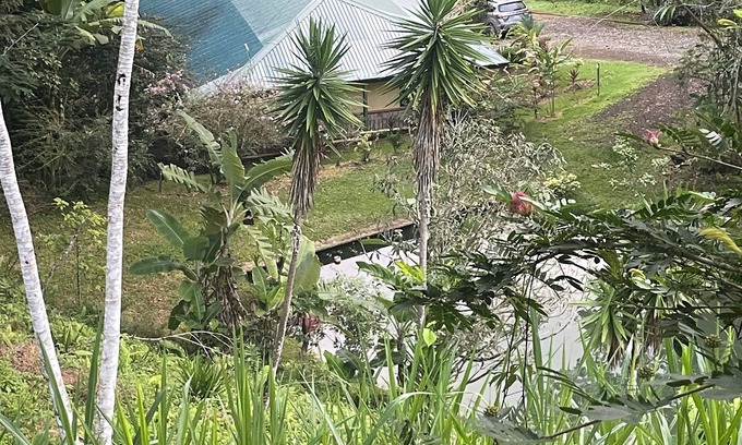 Ciudad Cortes Villa | Jungle Forest Mountain Getaway. Secluded, private one bedroom villa.