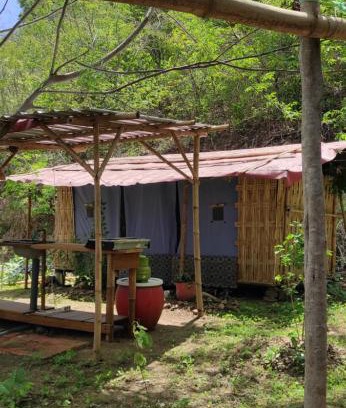 Sumbawa Barat Other | Jungle Glamping Tent Two