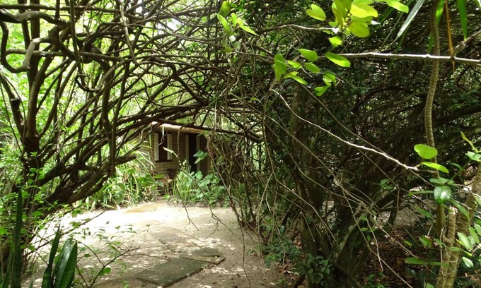 Sao Miguel de Touros Hotel | Jungle House