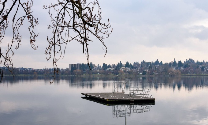 Phinney Ridge House | KABINO: Mini Modern TINY HOME Heart of Green Lake Pet Friendly WiFi Loft up Ladder plus Sleeper Sofa
