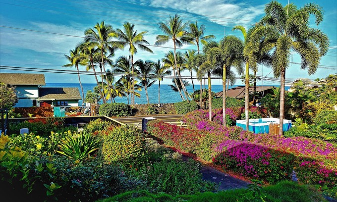 Kahaluu Bay Villa | KAHALU'U BEACH HOUSE WALKING DISTANCE OF 4 MINUTES. SUNSETS, PALM TREES, BIRDS!