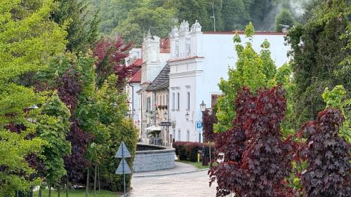 Kazimierz Dolny Hotel | Kamienica Biała