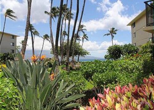 Maalaea House | Kanai A Nalu Resort 108