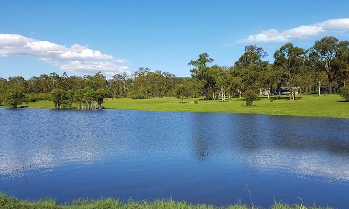 Ellalong Cottage | Kangaroo Cottage - cute Accom in bushland setting