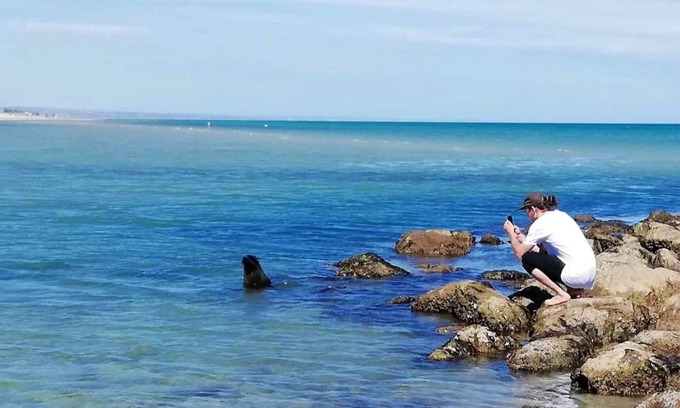 Baudin Beach House | Kangaroo Island in Style: Free WiFi, Beach Access, Wildlife, and Fishing!