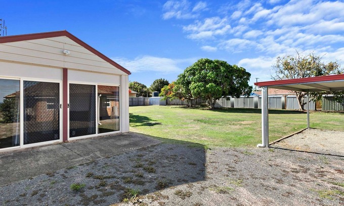 Point Vernon Cottage | Kangaroos at the point