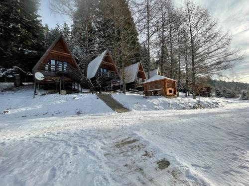 Staryava Cabin | Karpatskyy
