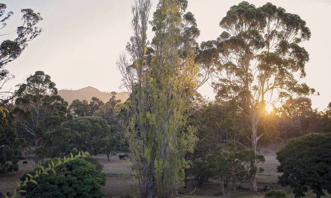 Porongurup Cottage | Karribank