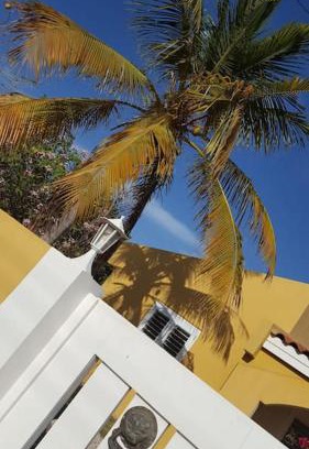 Belnem Apartment | Kas Calimero, a hidden gem in Bonaire