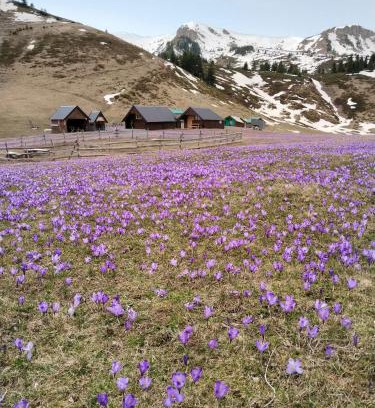 Montenegro Ski Chalet | Katun Siska Medna Dolina