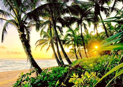 Kamuela Apartment | KBM Resorts FREE CAR Islands at Mauna Lani 2-Bedroom Condo with Exclusive Private Beach Club and Sports Club Access IML-E4