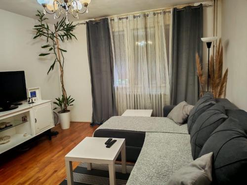 Gornji Milanovac Apartment | Keližual