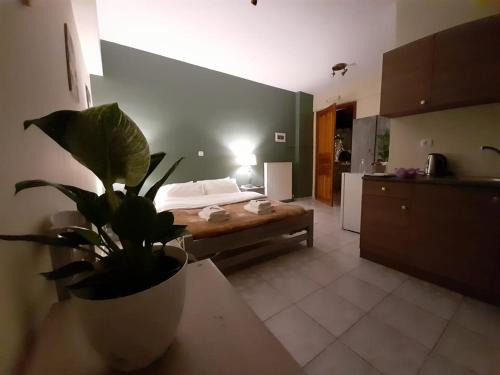 Kalavrita Apartment | KERAMIDAKI MINI SUITES 2