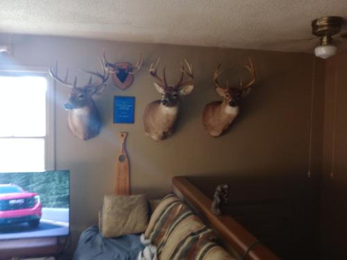 Holland Apartment | Kevins spare bedroom