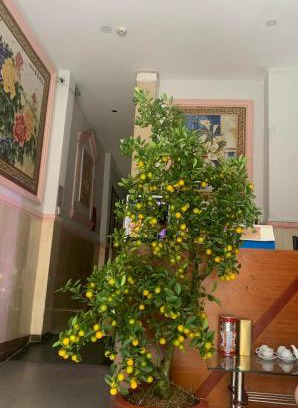 District 1 Hotel | Khách Sạn Ánh Nguyệt 1