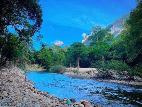Khlong Sok Other | Khaosok August Freedom Camp