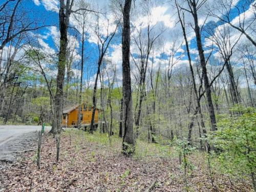 Blairsville House | King Bed Romantic Cabin with Fireplace
