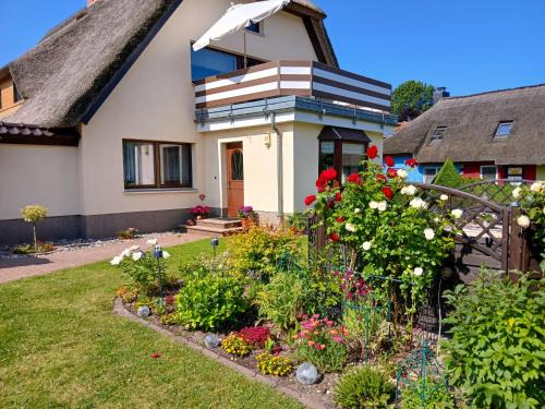 Korkwitz House | Kleine Auszeit