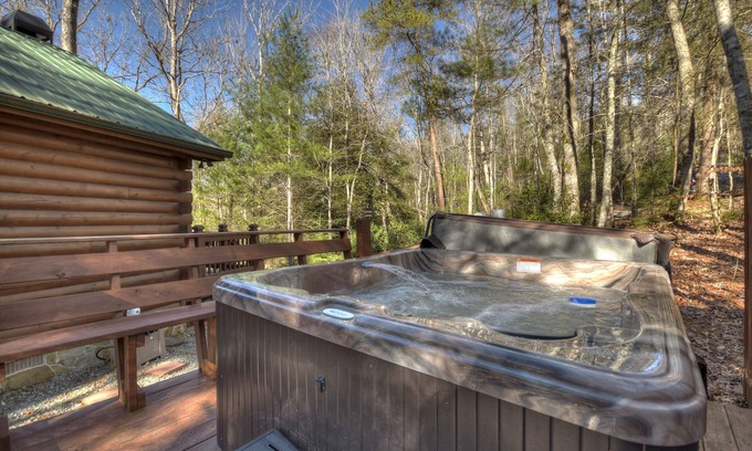 Hidden Lake Cabin | Knotty Pines - Pet-friendly, fireplace, & firepit!