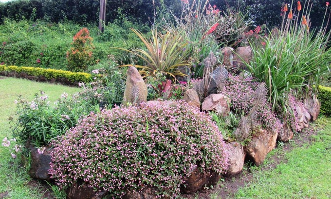 Fort Portal Hotel | Koi Koi Cultural Village Hotel
