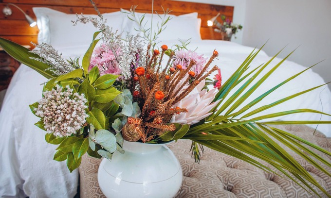 Stellenbosch Central Apartment | Kolonies Tuin