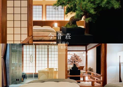 Minato House | KONJAKUSO Osaka Tempozan KANOH SHOHAKU Sakura Pine Tree