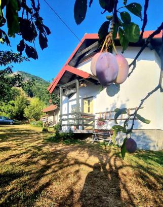 Montenegro Apartment | Kosta's romantic house