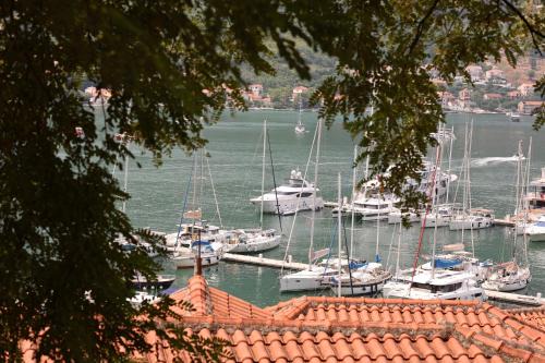 Kotor Old Town Apartment | Kotor Lovers