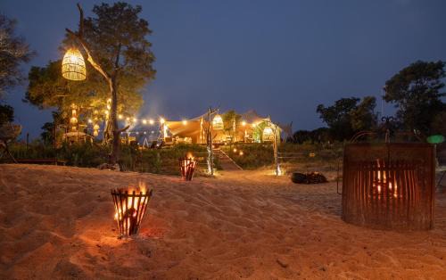 Kruger National Park Other | Kruger Untamed - Tshokwane River Camp