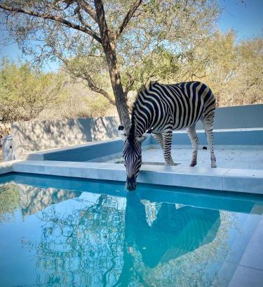 Marloth Park Villa | Krugers elegant escape The Kop