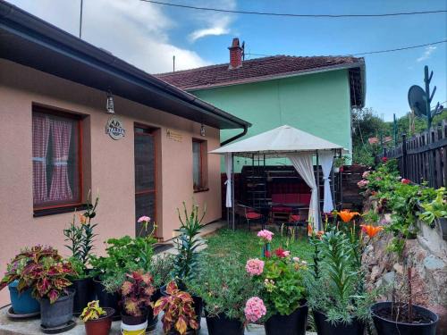 Balta Berilovac House | Kuća Talija