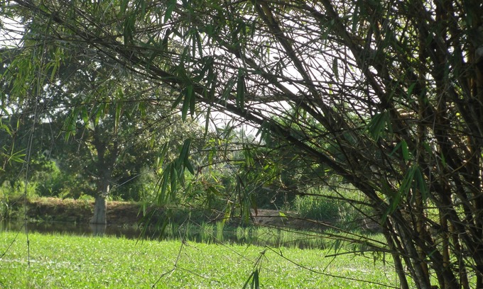 Nuwaragam Palatha East House | Kulama THE Lake Villa