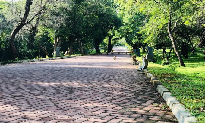 Polonnaruwa Hotel | Kumari Resort
