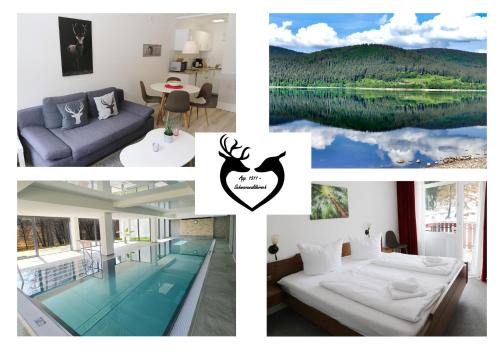 Schluchsee Apartment | Kurhotel Schluchsee App 1511 - Schwarzwaldhirsch - mit Innenpool und Sauna, Schluchsee