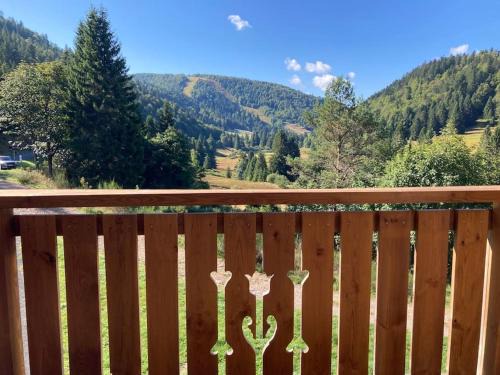La Bresse Apartment | L'appart des familles sportives!