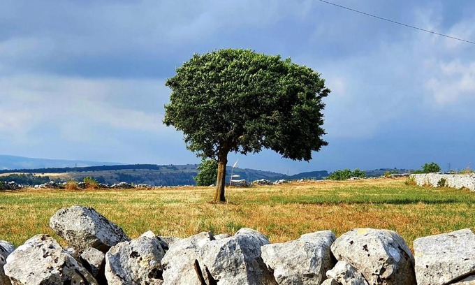 Ragusa Villa | L'aria ro munti