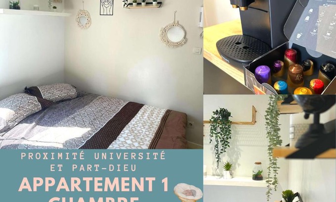 Croix Luizet Apartment | L'Oasis Cosy
