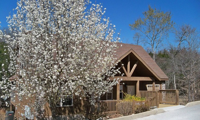 Reeds Spring Cabin | L078B, 1Br Cabin,Don’t Miss 15% Off #+Nts September Stays SEE DESC. BELOW