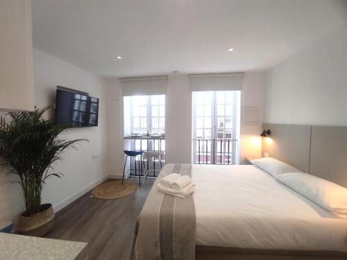 Ourense Apartment | L1 - Disfruta en Os Vinos a dos pasos de la catedral