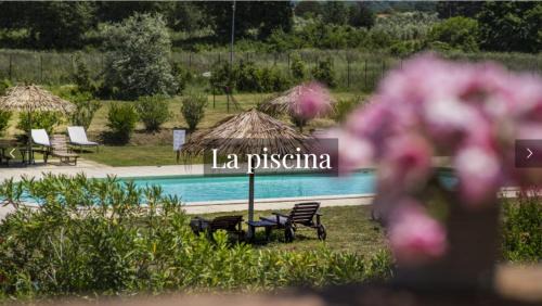 Scarlino Apartment | La Beccanina Resort
