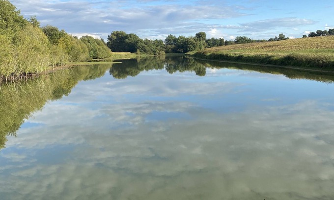 Mauleon-d'Armagnac House | La Bergerie (the pond)