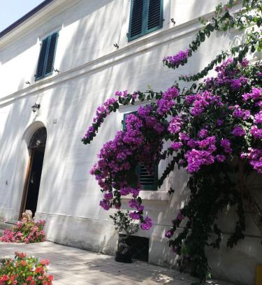 Macerata Bed & Breakfast | La Bouganville