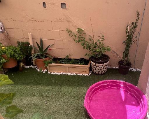 Juarez Municipality House | La casa de Bruno hotel canino
