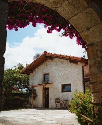 Isla House | La casa de los árboles