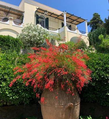 Tiberio Apartment | La Casa di Paola