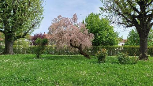 Moncalieri Apartment | La Casa nel Parco