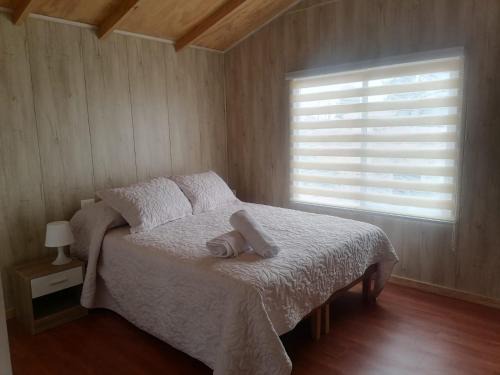 Vina del Mar House | La casa y el árbol