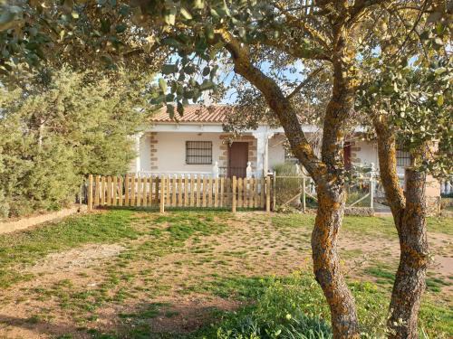 Ossa de Montiel House | La Caseja Rural