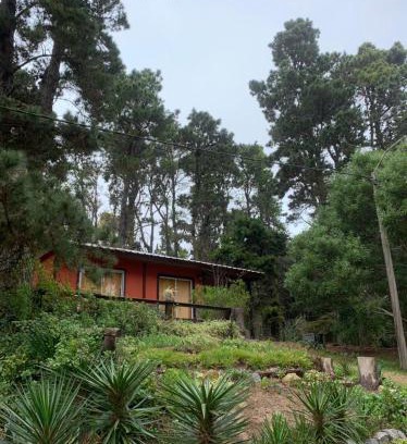 Mar Azul House | la casita del bosque